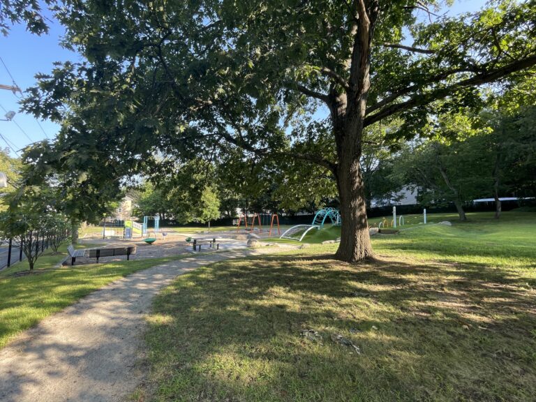 Viscolosi Park view from the east park entrance path to the playground in August