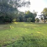 Viscolosi Park looking up the grassy hill to the treeline in August