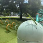 Viscolosi Park praying mantis on a play structure post August 2026