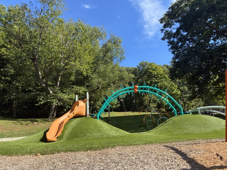 Viscolosi Park play features for ages 5-12 include a curved embankment slide, arch climber, cargo net, and synthetic turf berm with obstacles