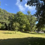 Viscolosi Park looking up the grassy hill in September