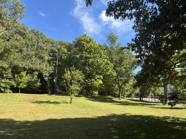 Viscolosi Park looking up the grassy hill in September