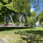 Warren St Park lawn and shade