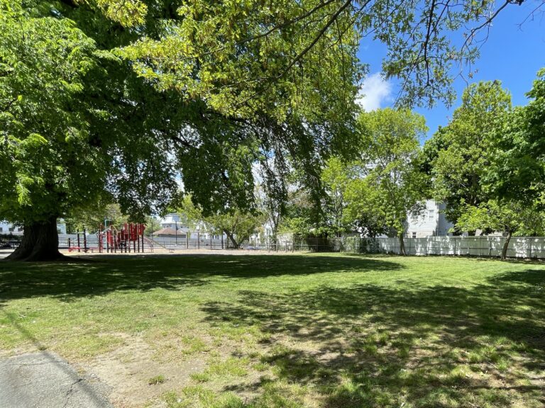 Warren St Park lawn and shade