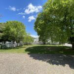 Warren St Park big tree shading the lawn area in May