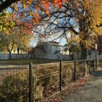Warren St Park in November fall foliage