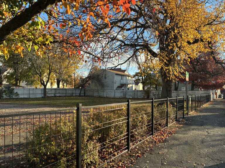 Warren St Park in November fall foliage