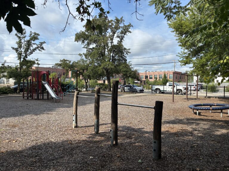 Warren St Park playground chinning/turning bars and carousel spinner for ages 5-12