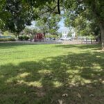 Warren St Park lawn in August