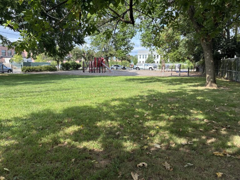 Warren St Park lawn in August