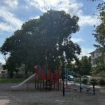 Warren St Park play structure for ages 5-12 in August