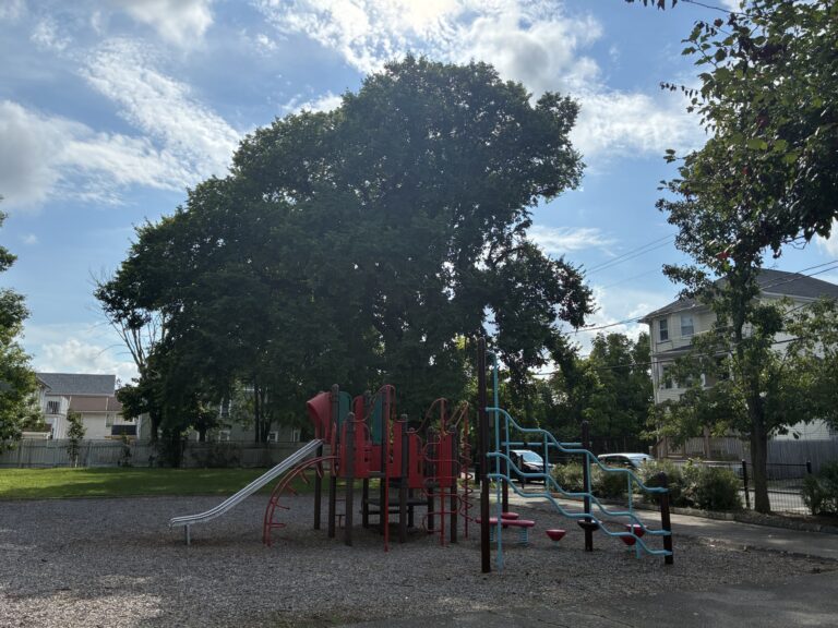 Warren St Park play structure for ages 5-12 in August